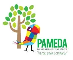 MUNICIPIO DE DAVID
